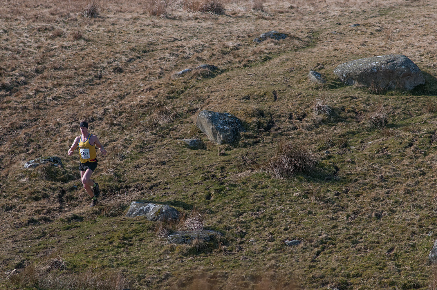 The inaugural Carrock Fell Race - a 9km race from Calebreck to the summit of Carrock and back over High Pike - was run on 20th March 2016.Ricky Lightfoot won the mens race - here he is at the bottom of High Pike heading for the finish