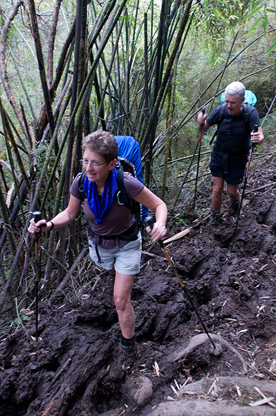 Muddy Trail in Bumthang. Richard & Sue Eaton of the UK on the trail from Bumthang to Gasa and LunanaNikon D300, 17-35mm
