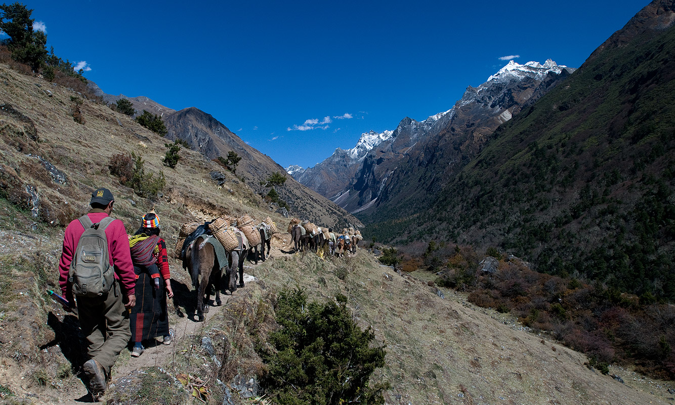 Heading up towards MasaGang basecamp on a side-trip from the Laya-Lunana routeNikon D300, 17-35mm