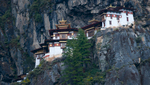 Paro Taktsang (Taktsang Palphug Monastery - also known as The Tiger's Nest) is a a prominent Himalayan Buddhist sacred site and temple complex, located on a cliffside of the upper Paro valley, in Bhutan. A temple complex was first built here in 1692, around the cave where Guru Padmasambhava is said to have meditated in the 8th century. Padmasambhava is credited with introducing Buddhism to Bhutan and is the tutelary deity of the country. Today, Paro Taktsang is the best known of the thirteen taktsang or {quote}tiger lair{quote} caves in which he meditated. Takstang has become the cultural icon of Bhutan. Nikon FM2, 50mm, Fuji Velvia