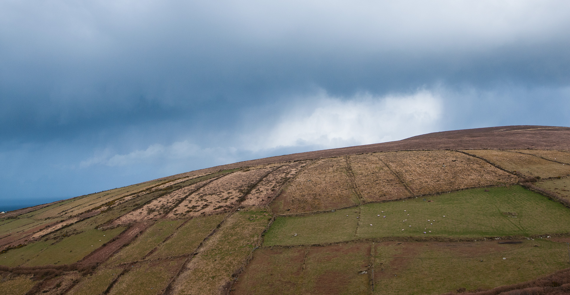 Ancient field-boundaries above SmerwickDingle Peninsula, County Kerry,Republic of IrelandNikon D300, 17-35mm