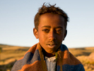 Portrait of a young shepherd boy