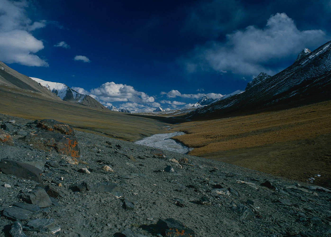 The final spproach to the Shimshal Pass is up this idyllic high altitude valley