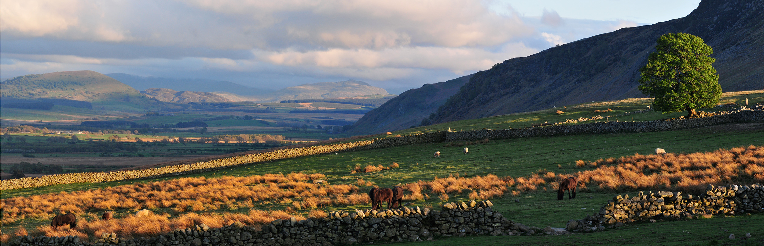 Evening light looking down Mungrisdale. Carrock Fell on the right.