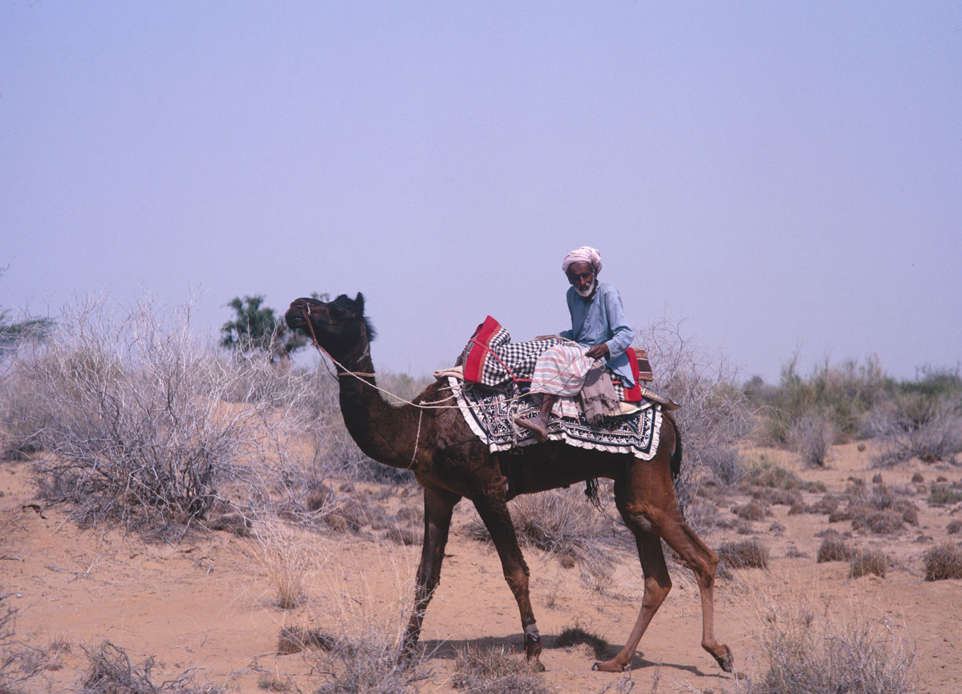 derawar_camel_rider_97RDP2