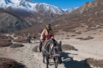 Horseman near Shey, Dolpo, Nepal
