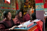 Monks chanting sutras in the main temple or labrang