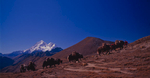Yak train cresting the pass from the west, which forms the boundary between the districts of Lingshi & Laya. The peaks beyond are Jitchu Drake, Tsheri Kang & ChomolhariNikon FM2, 24mm, Fuji Velvia