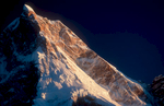 The summit from Goro on the Baltoro glacier