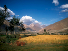In the Yarkhun valley, ChitralNWFP, PakistanBronica ETRSi, 50mm, Fuji Velvia