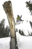   Derek Root taps the tree with his tail as he airs over it at Island Lake Lodge, Fernie, BC.