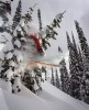   Janelle Miller blasts through a pair of leaning evergreen's.