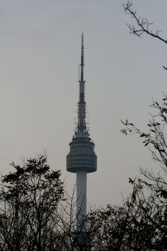 The Seoul Tower is seen through the trees.