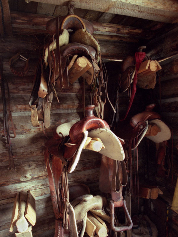 Saddles sit till the next ride in a well equiped tack room.