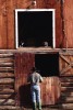 Two barn cats sit on a window ledge and watch the action below.