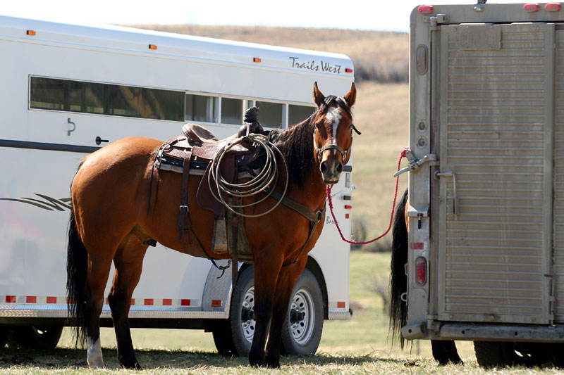 A horse is saddled and ready to head out on the range.