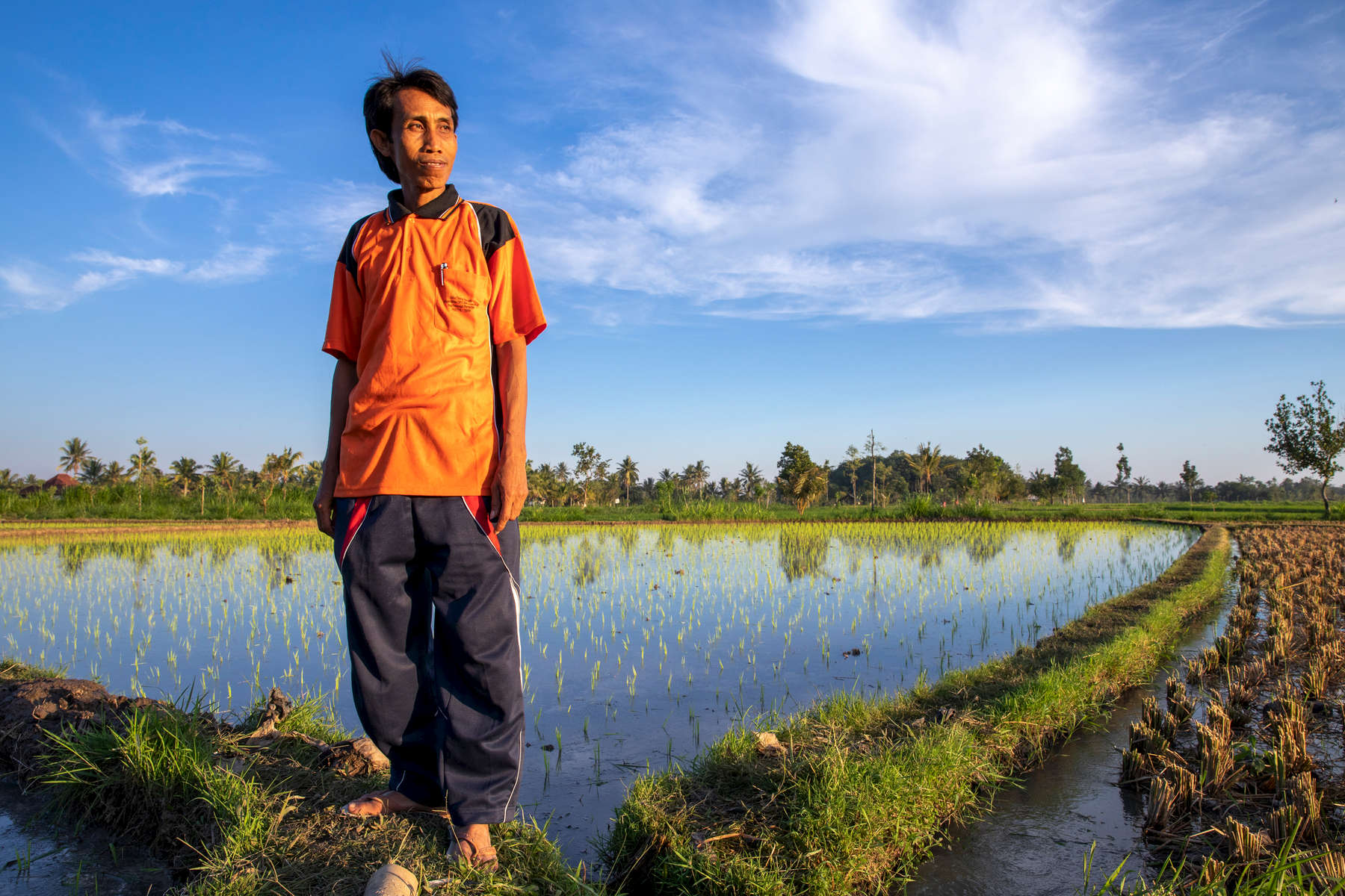 Pak Sahwil, 42,  stands in his fields. He is a rice farmer on Lombok in eastern Indonesia. Mercy Corps is helping him and the 60 other farmers in his farmers group learn how to grow stronger, heartier crops in the face of worsening drought.Lombok is extremely vulnerable to climate change, with shorter rainy seasons and longer dry seasons that put precious harvests at risk.A lifelong farmer on Lombok—and the son of rice farmers—Pak Sahwil can recall the dry seasons as far back as 15 years. As he gets older, he worries about longer droughts causing harvest failure. “Sometimes, climate change causes failure. What I feel the most is a long dry season,” he says.On Lombok, the dry season is now regularly starting a month earlier and lasting a month longer, leading to dangerous water shortages for farmers. “I’m very worried. Not just for next year, but even for this year. Accessing water is becoming difficult,” Pak Sahwil says.Mercy Corps has helped Pak Sahwil and the farmers group he mentors endure drought with better farming practices and business training. “Our objective as farmers is to increase our production. Because the Mercy Corps mission is the same as ours, we cooperate. This is a good opportunity, in my opinion,” he says.Mercy Corps trains farmers like Pak Sahwil to organize local farmers groups where farmers work together and support each other. They also learn to start agribusinesses to supplement their income.Pak Sahwil also works for the governmental agriculture agency. When he saw how Mercy Corps was improving local farmers, he extended the partnership to other districts. “Because Mercy Corps is successful with my group, I share the knowledge with the group in this village,” he says.