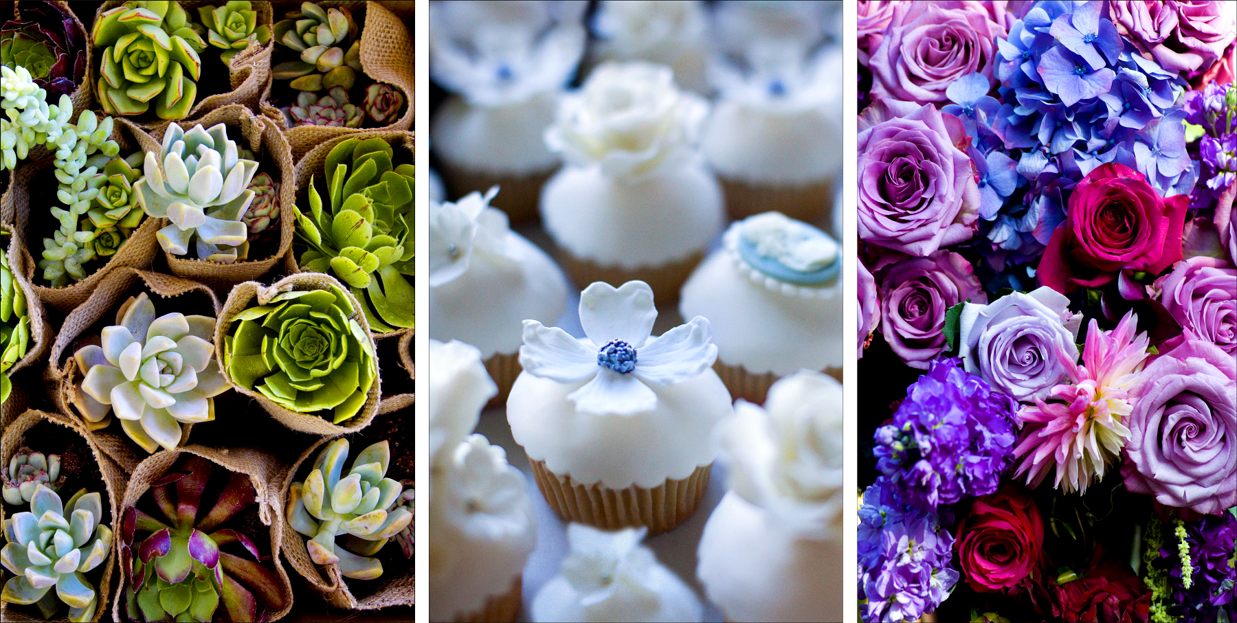 Details_52_Succulents_Cupcakes-_n-Flowers