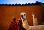 FineArt_23_Peruvian-Boys-_-Lamas