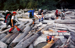 Hikers traverse mammoth driftwood logs along the famed West Coast Trail, a treacherous 77-kilometer trail that is as difficult as it is beautiful; on Vancouver Island, British Columbia.(for GEO magazine).