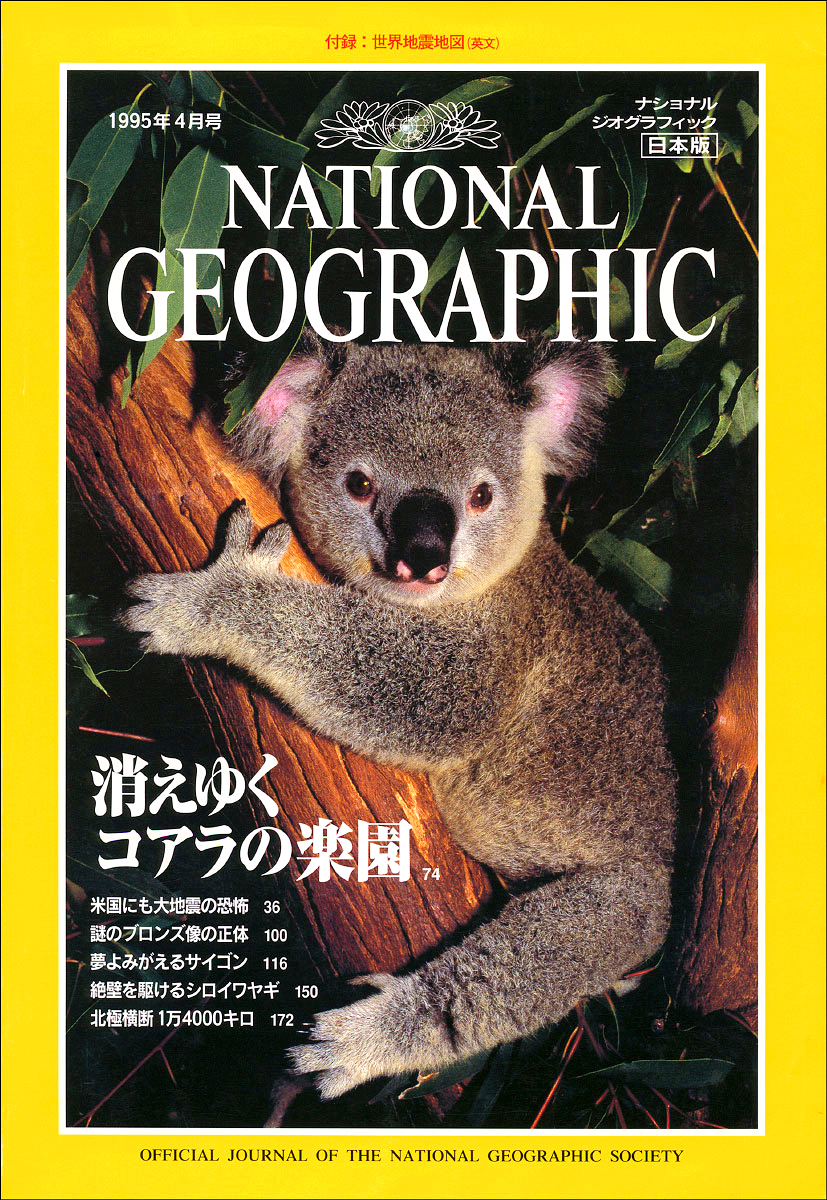 Published_Koalas_National-Geographic-Mag_01
