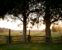 Post and rider fences are used to keep cattle in the pastures at Washington’s Birthplace National Monument in Colonial, Virginia. There is a 1930’s reproduction of the original house at the site, which burned down in 1792. October 25, 2012. Vanessa Vick for The New York Times