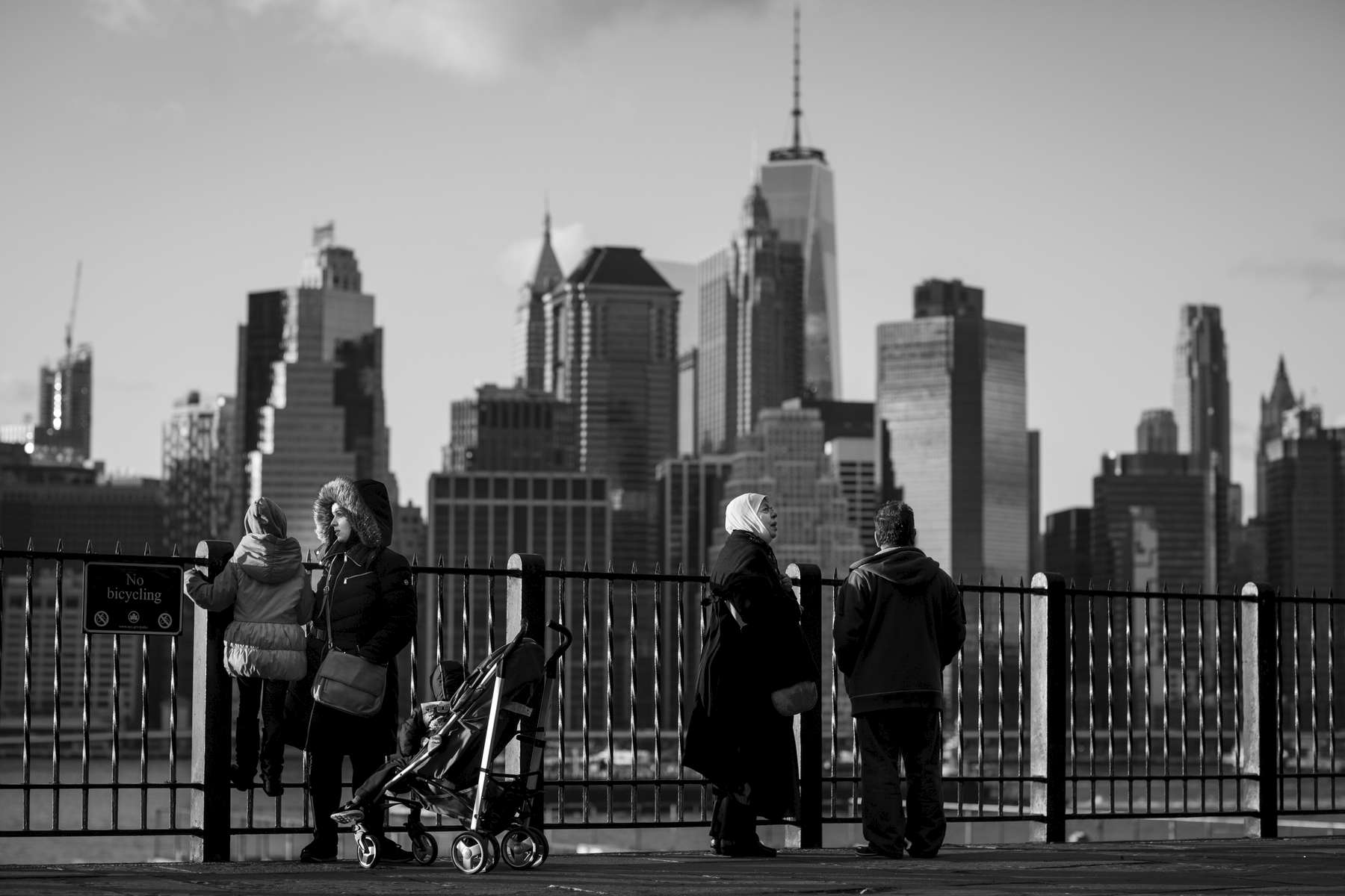 The Ferdous family takes in the view of the Manhattan skyline from the Brooklyn Heights Promenade. Michael Appleton/Mayoral Photography Office
