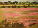 9 x 12{quote} oil on linenThe primroses made the Fredericksburg fields smile with pink! Fredericksburg, TXCollection of the Artist