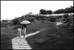 umbrella_model_china