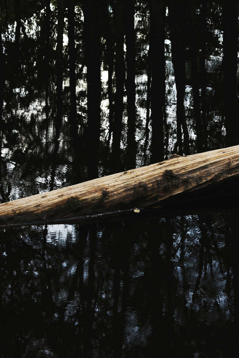 The Lumber River flows gently through the town of Pembroke, NC on July 22, 2018. The Lumbee tribe takes its name from the dark colored water that runs through the land. Comprised of a people who’s native identity—however culturally rich—has been fought over for more than a century by a federal government that doesn’t see them fitting neatly into any racial category.   