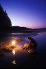 Shot on assignment for SUNSET Magazine. Oysters are harvested at lowtide, and lowtide comes at all hours of the day. A worker gathers Quillcene oysters  by lantern light after sunset at Daybob Bay on Hoods Canal,Washington.