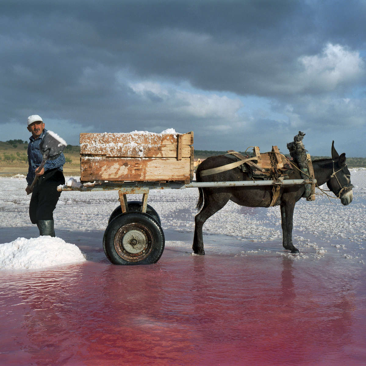 Salt Farm, Azerbaijan