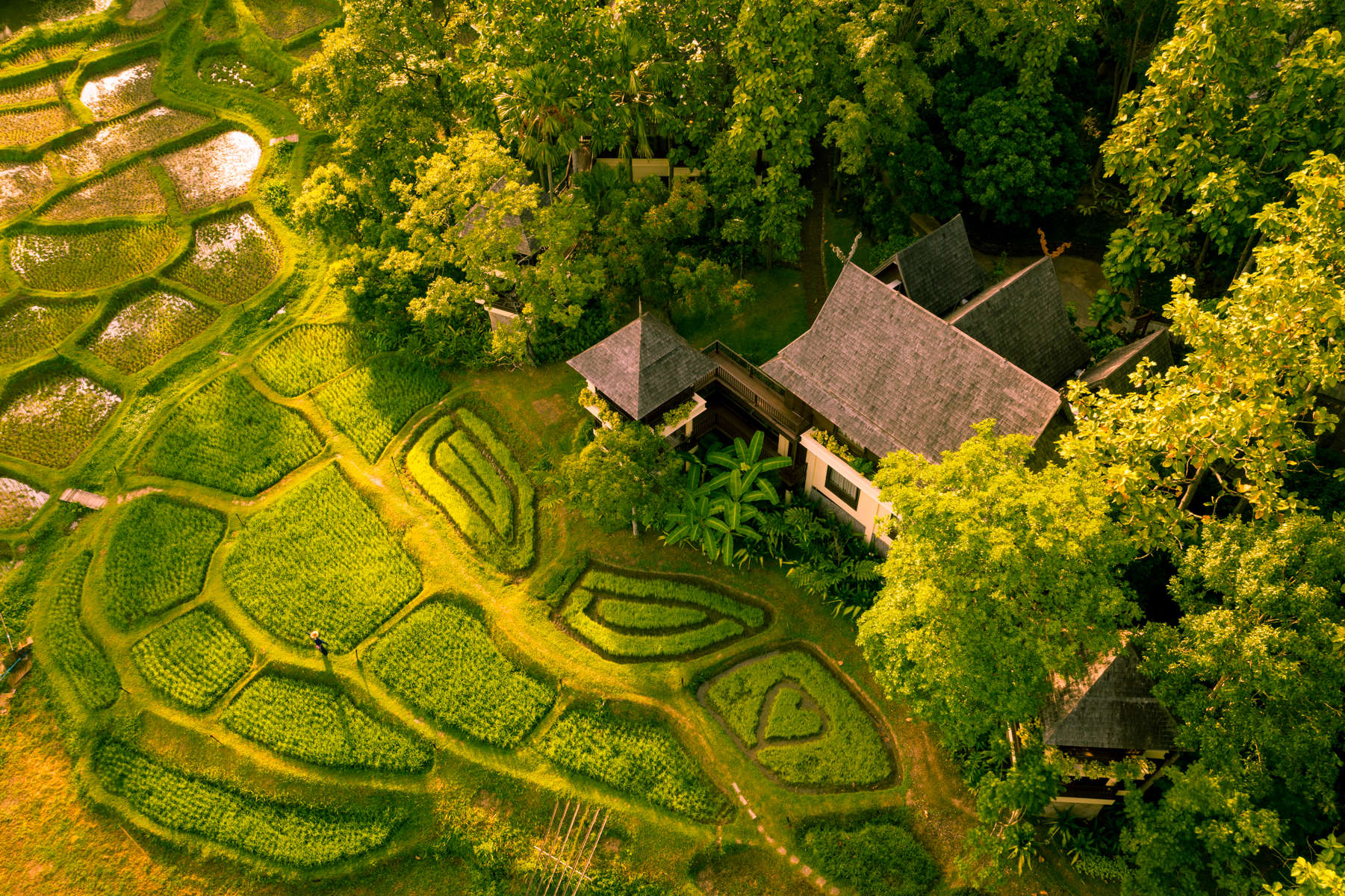 A beautiful private bunggalo surrounded by trees and rice paddies. 