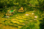 The beautiful emerald green swimming pool and restaurant surrounded by rice paddies.