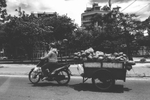 A woman riding a motorbike, pulling a cart full of coconuts on her way to a market. 