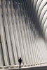 The OculusWorld Trade CenterSantiago Calatrava