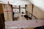 At Pone Rouge refugee camp, Stanley Clenant, 15 year old Haitian quake survivor with polio, stays in his shelter where he and 6 other family members live together. He lost his uncle due to the January 12th quake.