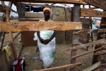 Rapping the plastic sheets for shelter coverage around her body, Alimene Noel, 45 year old Haitian earthquake IDP, stays inside the still working shelter at Pong-Rouge refugee camp.