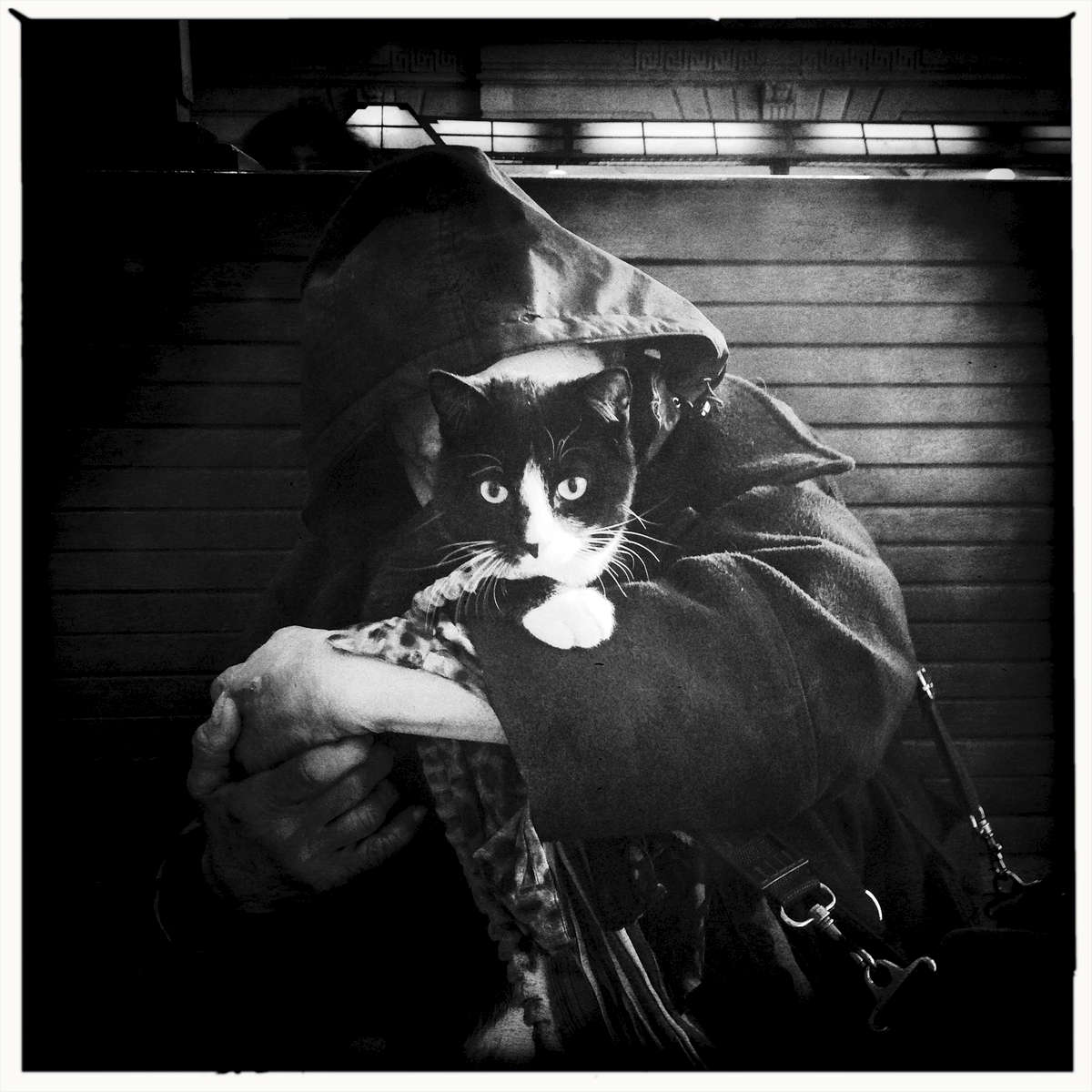 Homeless woman with her cat named as Tuxedo -- Hoboken.