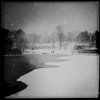 Winter at Harlem Pond in Central Park, Jan. 2015.
