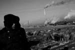 A shepherd stays near coal burning power plants at the suburb of a extremely frigid remote coal industrial town of Jixi in China's North East where the majority used to be Manchu, Tungusic nomad people. Coal is a primary source for power, heating and cooking fuel in China in modern days, despite the environmental health hazards.