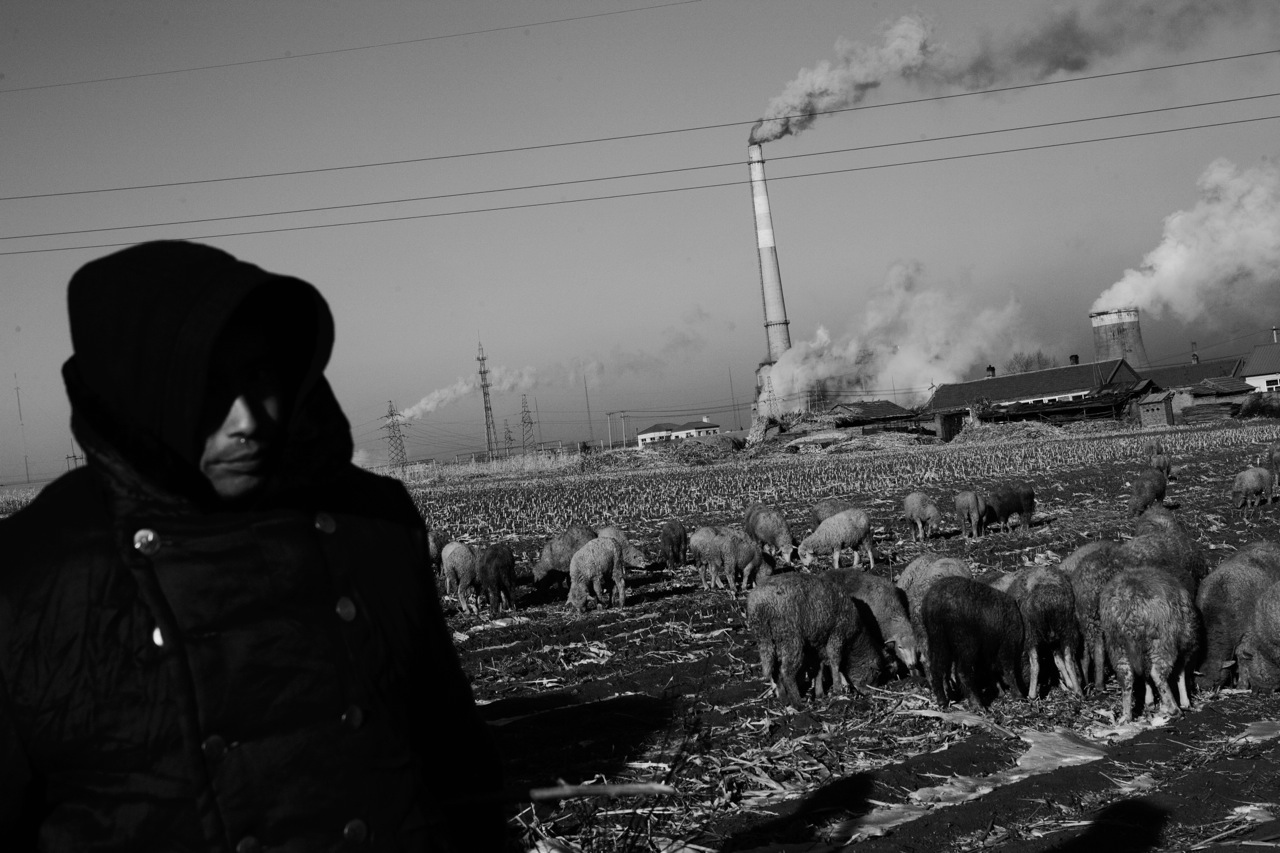 A shepherd stays near coal burning power plants at the suburb of an extremely frigid and remote coal industrial town of Jixi in China's North East where the majority used to be Manchu, Tungusic nomad people. Coal is a primary source for power, heating and cooking fuel in China in modern days, despite the environmental health hazards.China's North East was once called Manchuria. The region was at a crossroads that was manipulated in history, including the occupation by Russia and Japan. And now the area is facing upheavals due to the globalization with China’s rapid economic growth itself, creating the gap between the rich and the poor and even more unemployment.