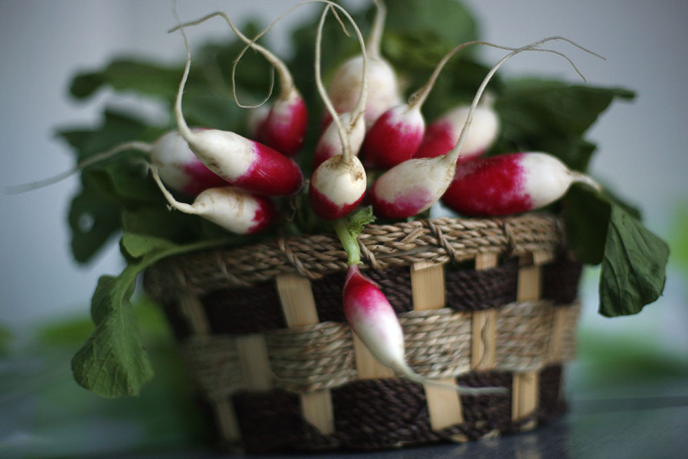 Radishes from the farmers market.