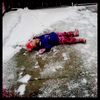 Rose lying on the parking pad after falling. She had been {quote}ice skating{quote} before she fell. March 2016.