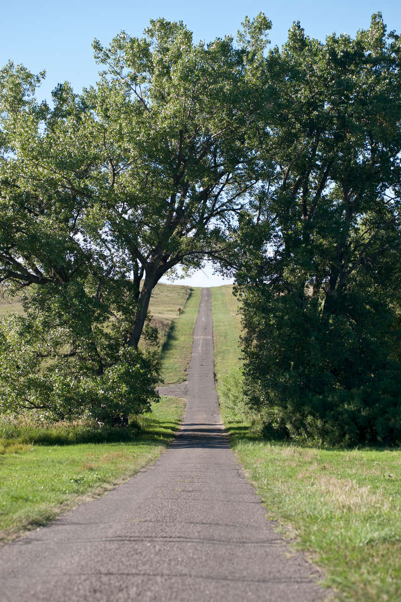 Two trees come together to form an arch over the single lane known as Whitman Road in Grant County, Nebraska.