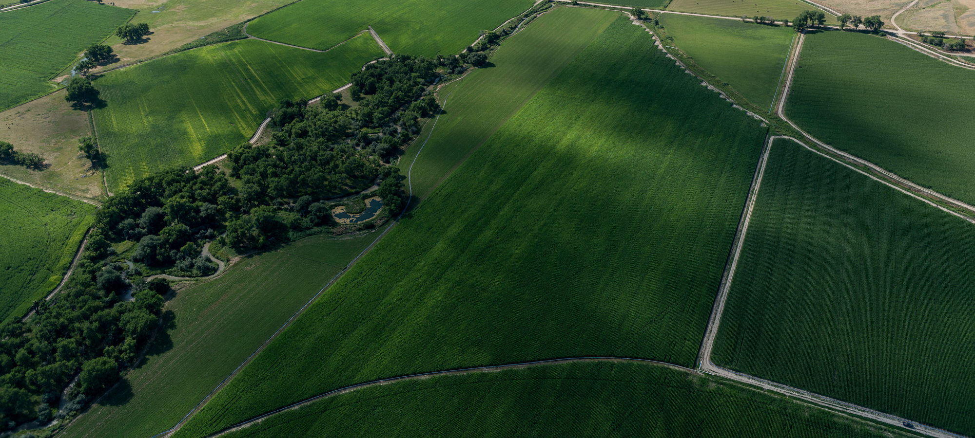 An aerial image of irrigated green fields with cloud shadows in Morril County, Nebraska.