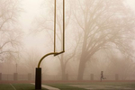 Foggy morning on campus