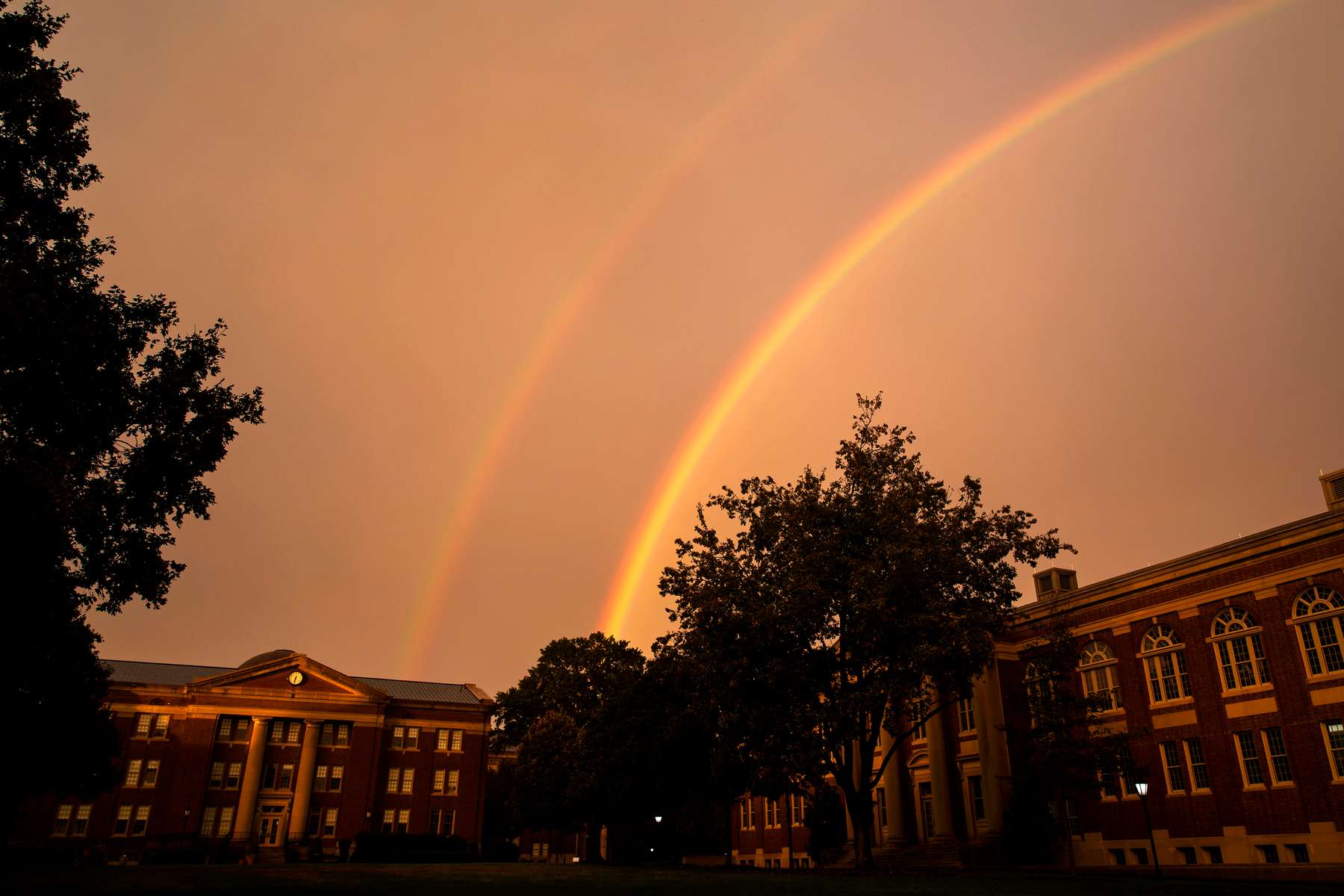 Rainbow On Campus