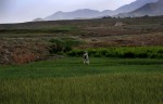 The Shomali Plains, Afghanistan.© Nikki Kahn/The Washington Post 2009ALL RIGHTS RESERVED