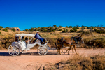 chelsea-and-brandon-ghost-ranch-wedding-2015-1006
